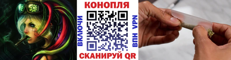 Купить  Мышкин  Бошки Шишки SATIVA & INDICA 